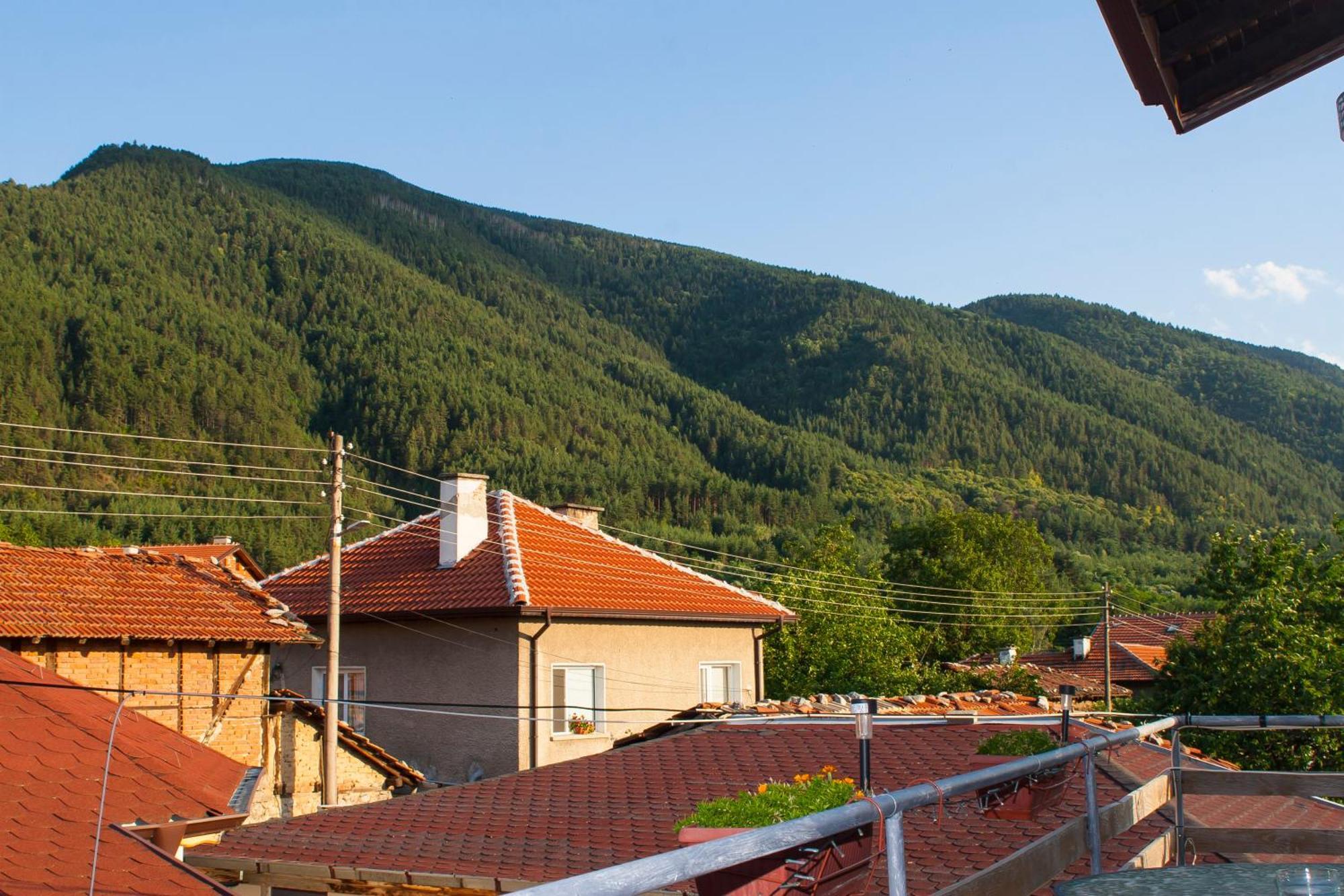 Къща за гости Ози Ovchartsi  Экстерьер фото